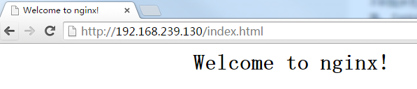 Docker 安装 Nginx