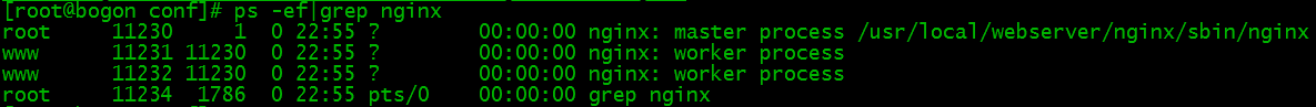 Nginx 安装配置