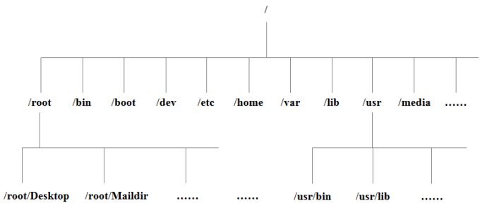 Linux  系统目录结构